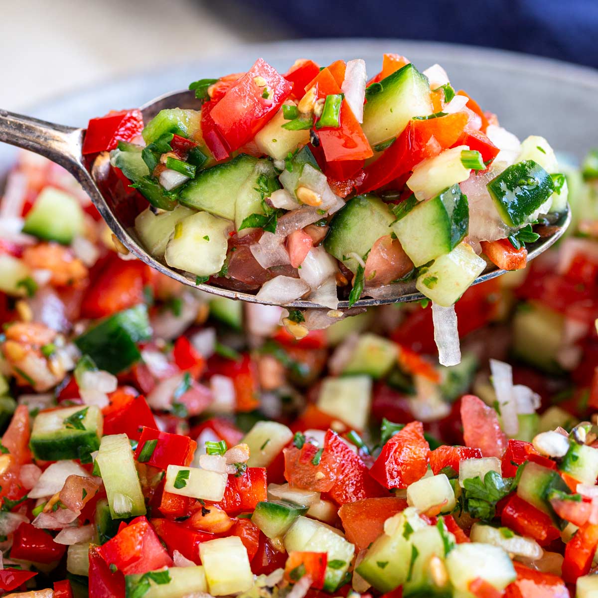 Simple Moroccan Salad